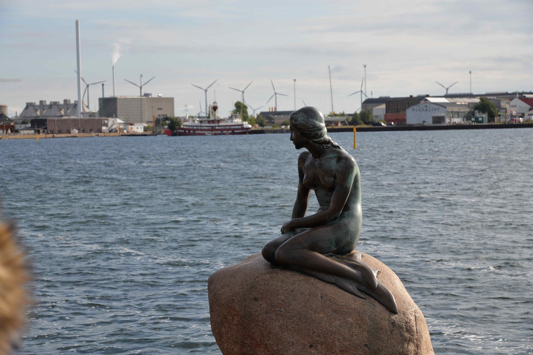 Statue of a mermaid on a rock near the water.