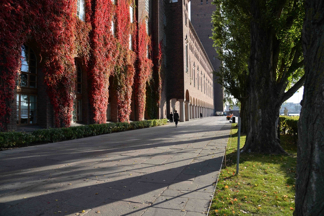 Building with climbing red ivy and a path lined with trees.