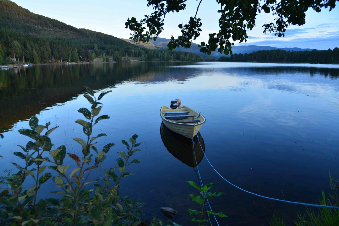Small boat on a serene lake surrounded by trees.
