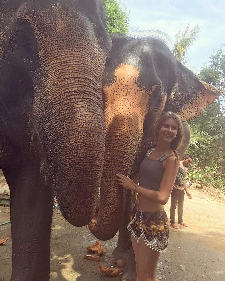 Person standing close to a group of elephants.