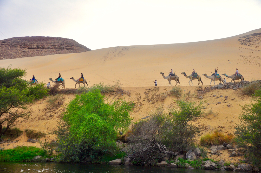 Camels and riders on a desert landscape.