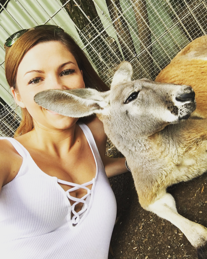 A person with a kangaroo at a zoo.