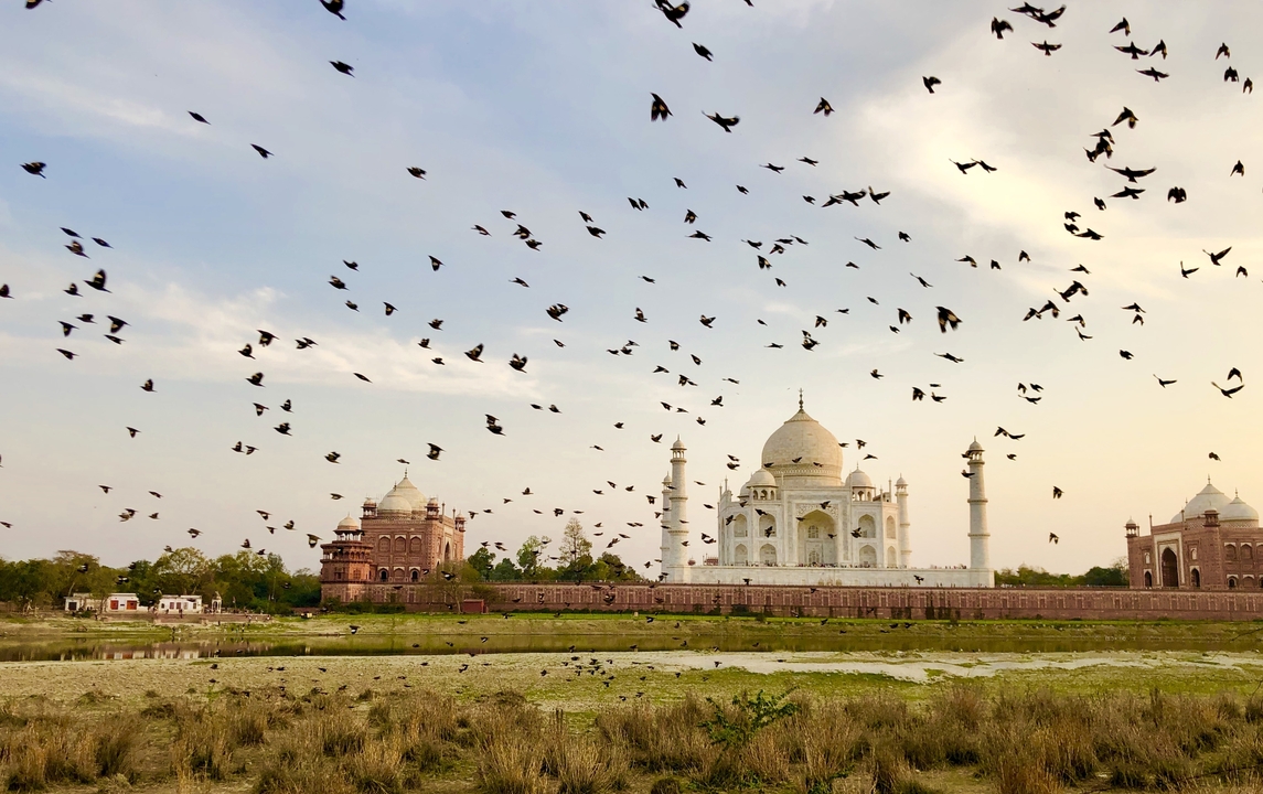 Des oiseaux volant au-dessus du Taj Mahal au coucher du soleil.