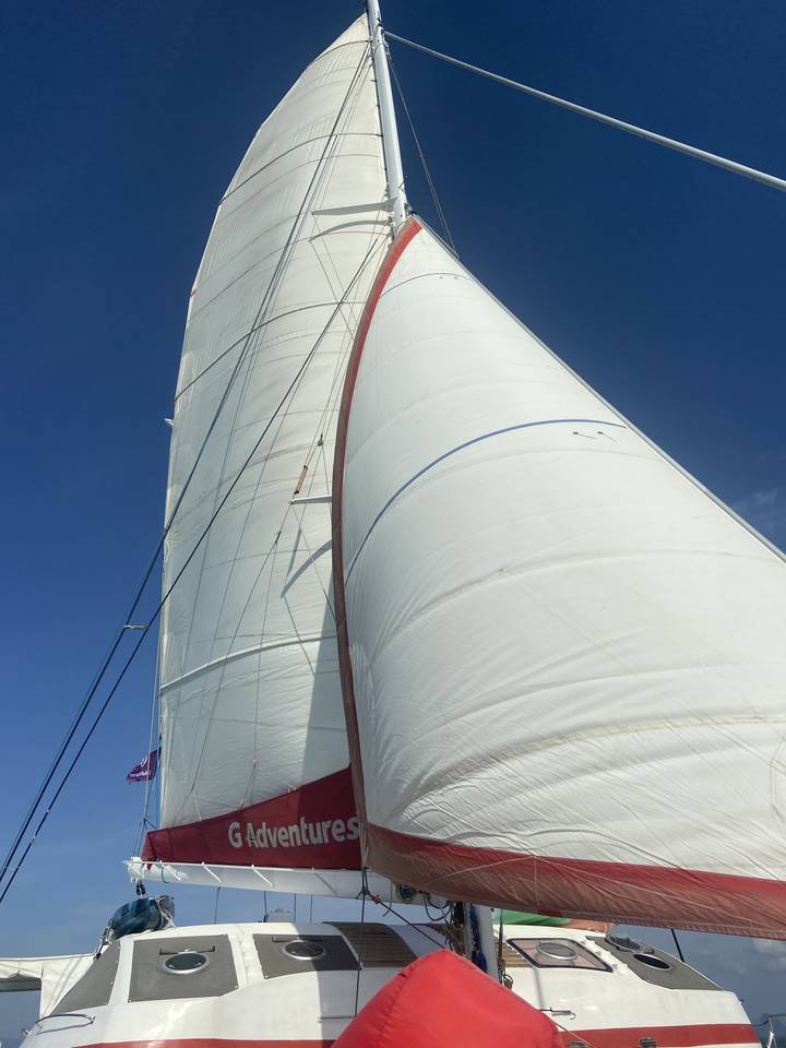 Plan rapproché d'une voile avec logo