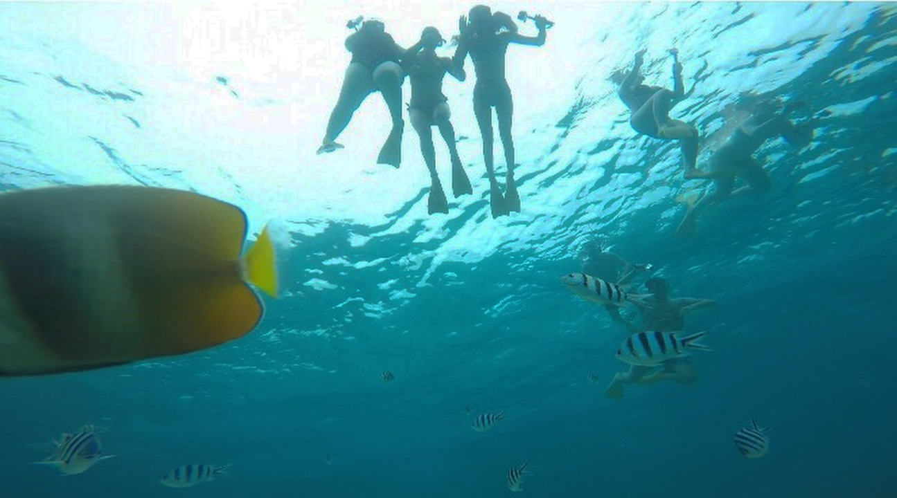 Group underwater with fish swimming by.