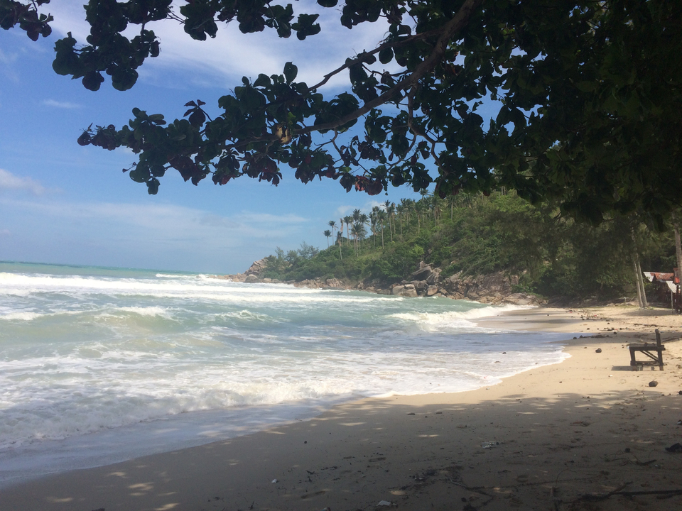 Seaside view of a sandy beach with gentle waves and a tree-lined shore.