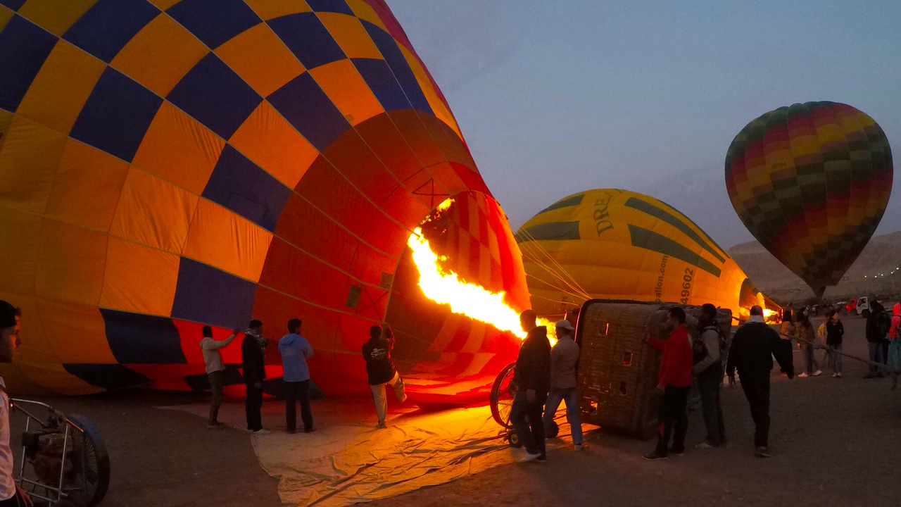Multiple hot air balloons being prepared.
