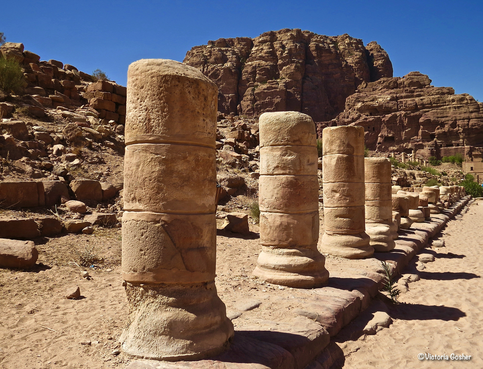 Series of stone columns in an archaeological site.