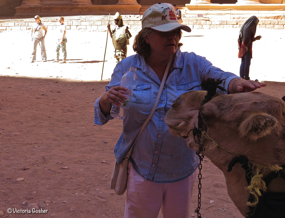 Person petting a camel near rocky terrain.