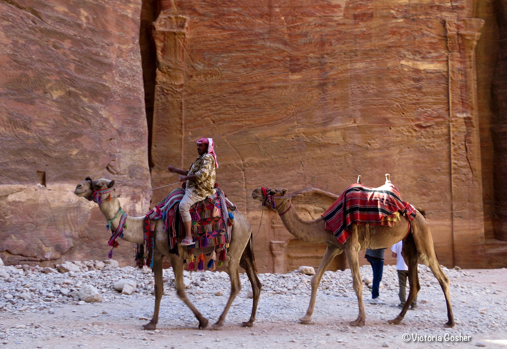Person riding a camel with another camel in a canyon setting.