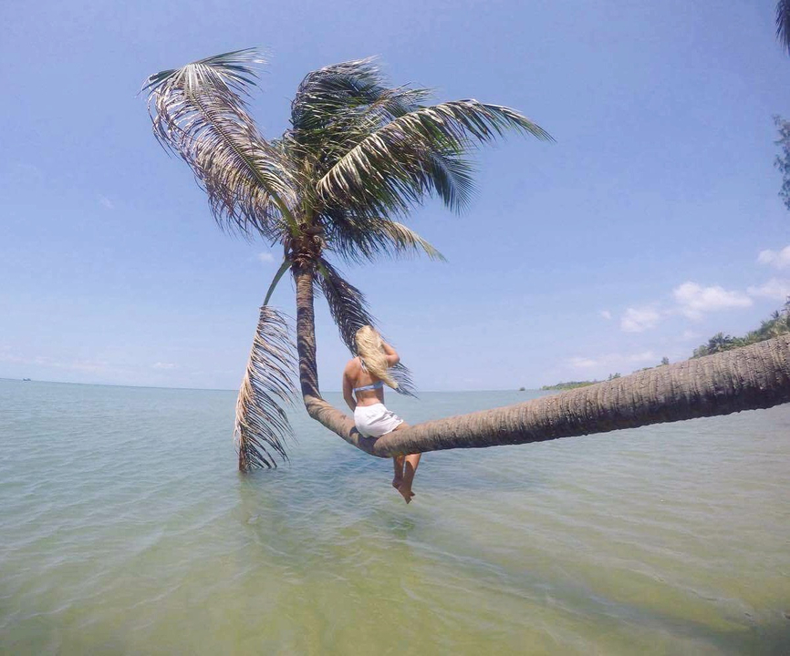 Person sitting on a bent palm tree over the sea
