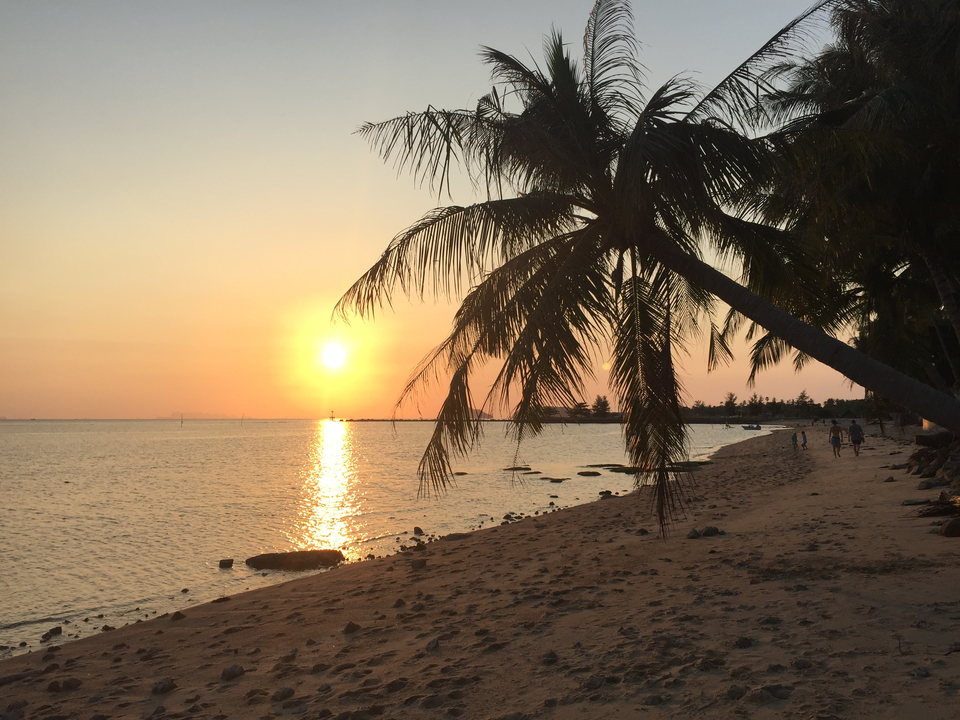 Sunset view over a beach with palm trees.