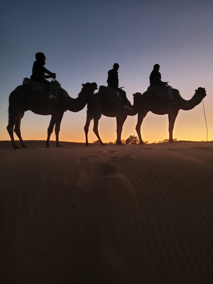 Silhouette of camels and riders at sunset.