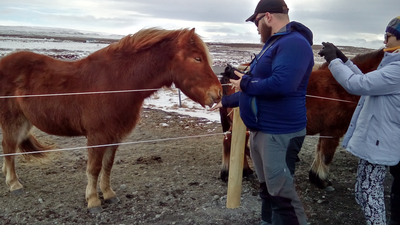 People petting horses in a snowy open landscape.