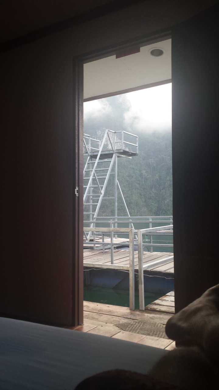 View through a window showing a platform and trees.