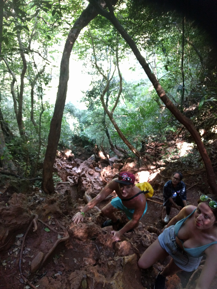 Two people climbing through a dense and rocky forest.