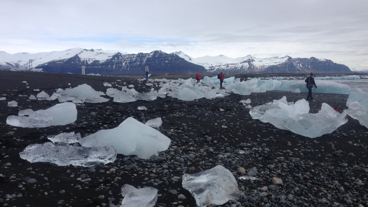 People walking among icebergs on a black sand beach.
