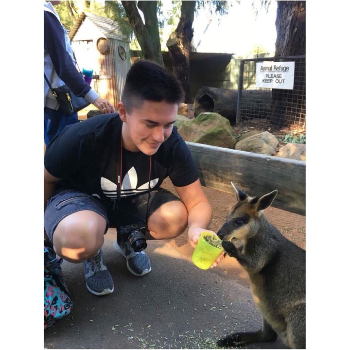 Person feeding a kangaroo in a wildlife sanctuary.