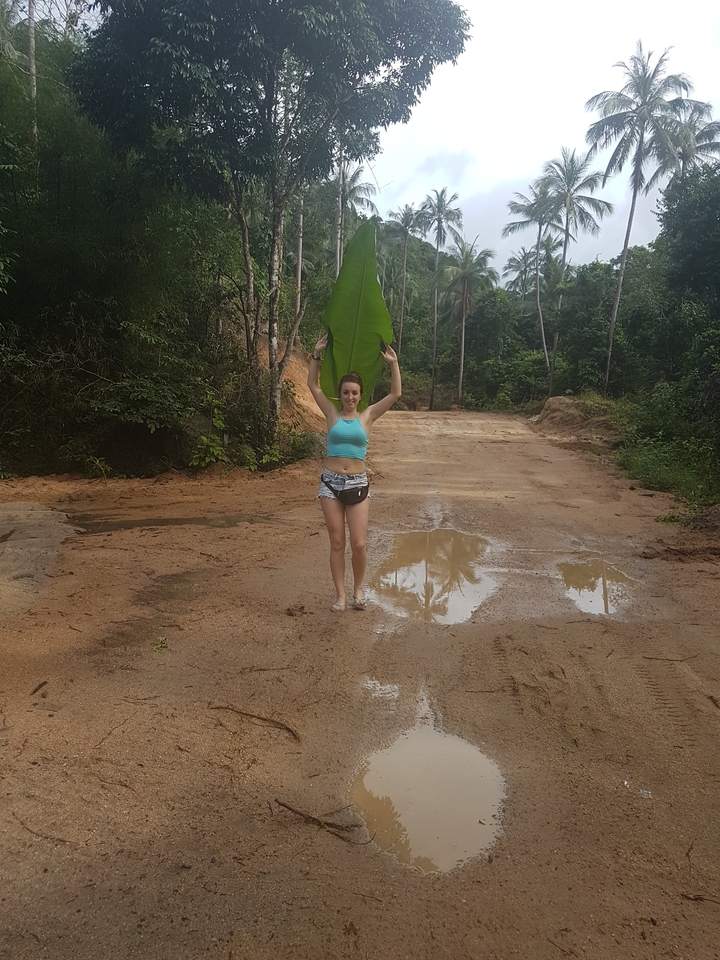 Person holding a large leaf on a dirt path in a tropical area.