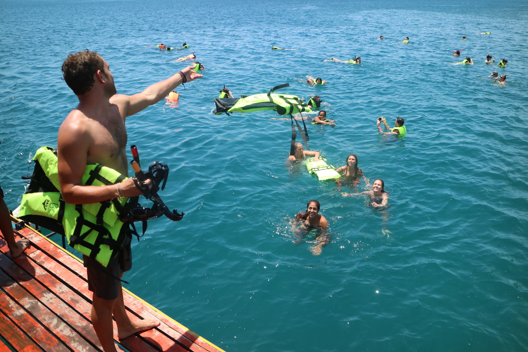 Group of people swimming in the ocean with snorkeling gear.