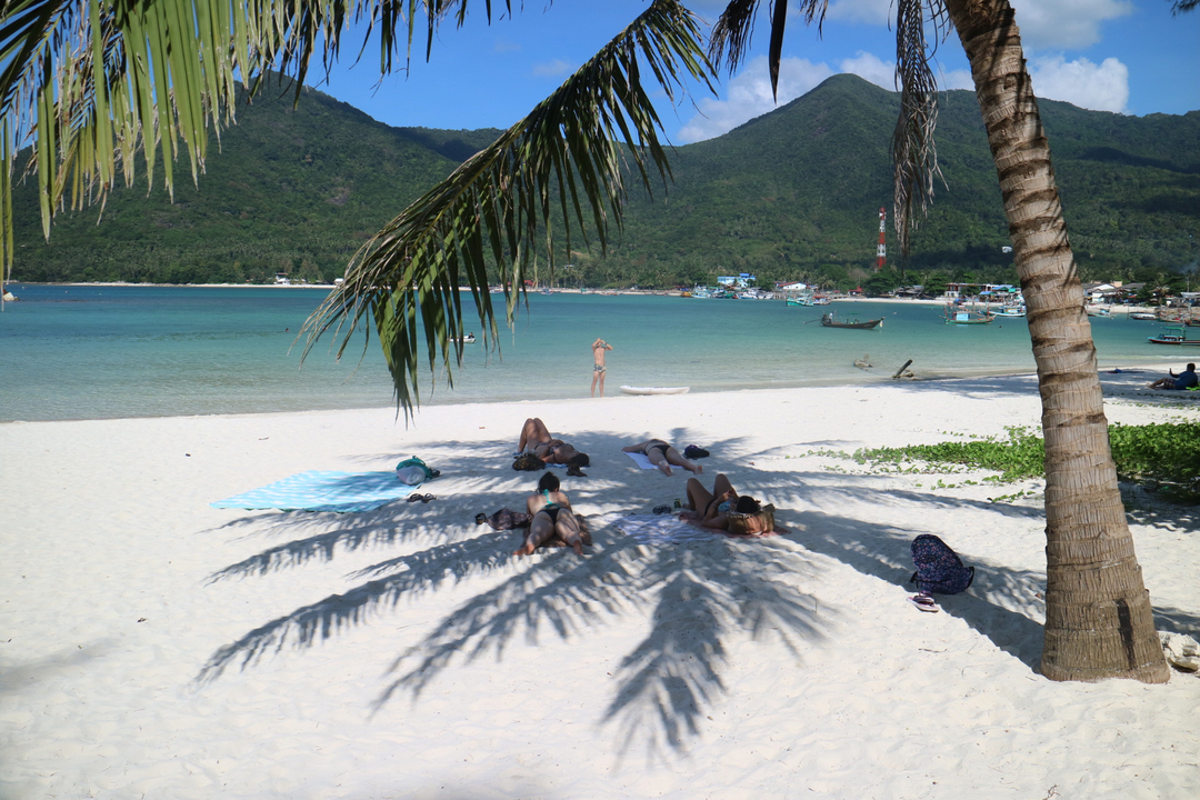 People relaxing on a tropical beach under palm trees.