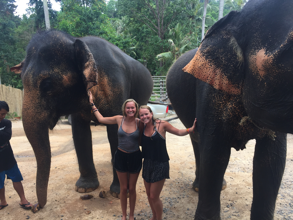 Two women posing with elephants in a natural setting.