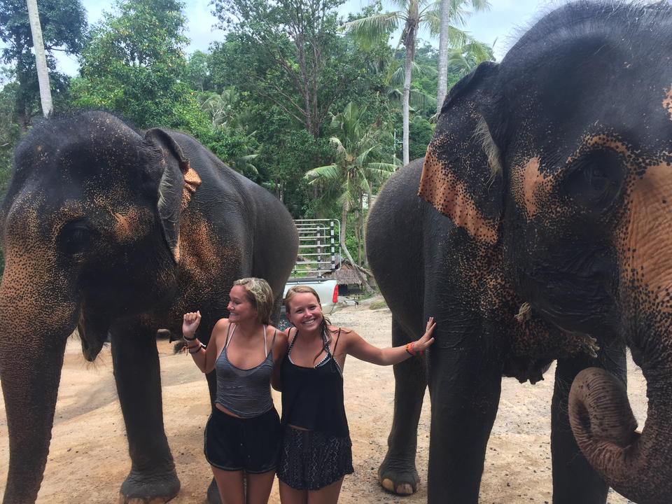 Two women posing with elephants in a natural setting.