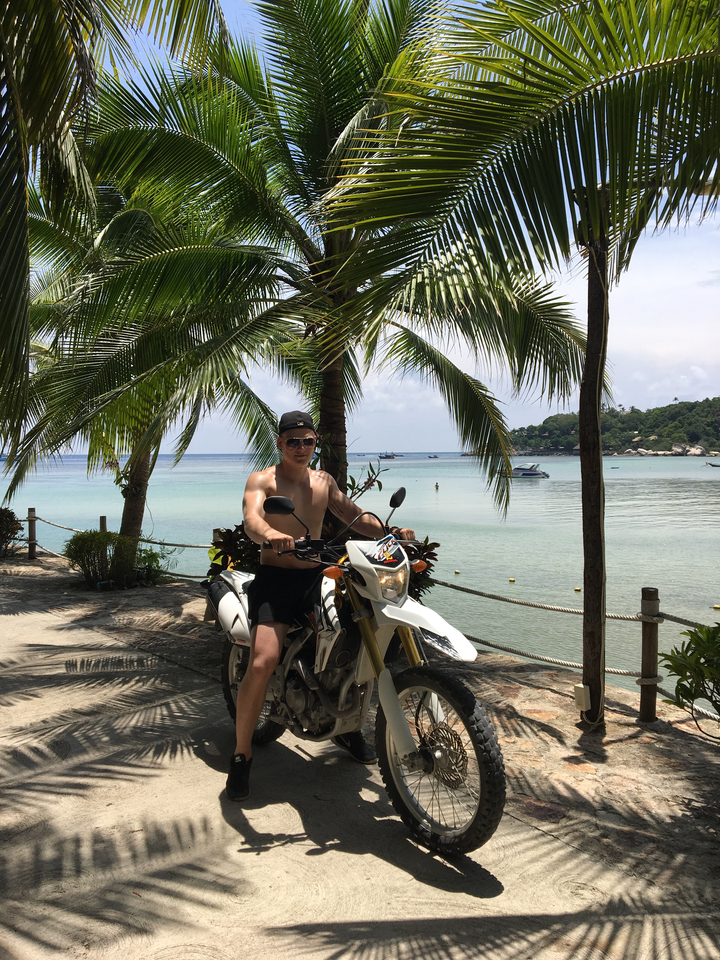 Person on a motorbike by the beach with palm trees overhang.