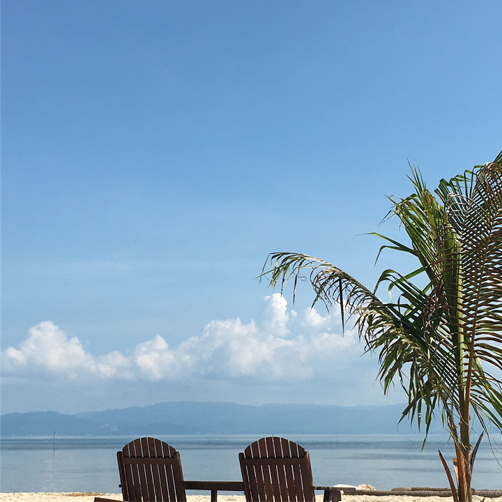 Clear blue sky with a view of palm tree leaves.