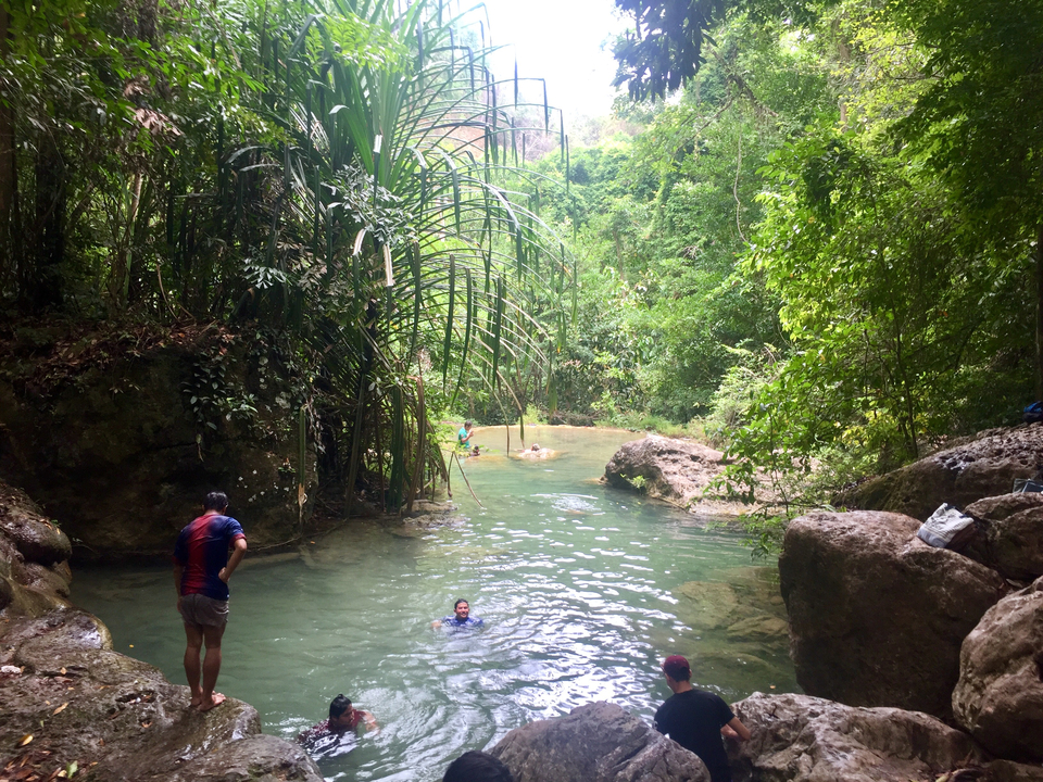 People swimming in a natural pool surrounded by lush greenery.