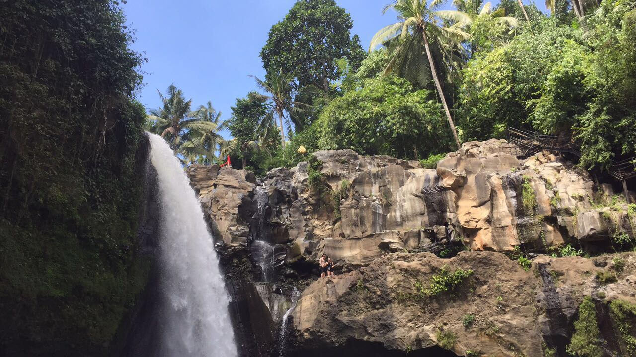Waterfall surrounded by lush greenery.