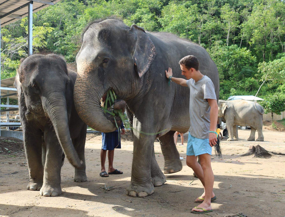 Man petting elephants at a reserve.