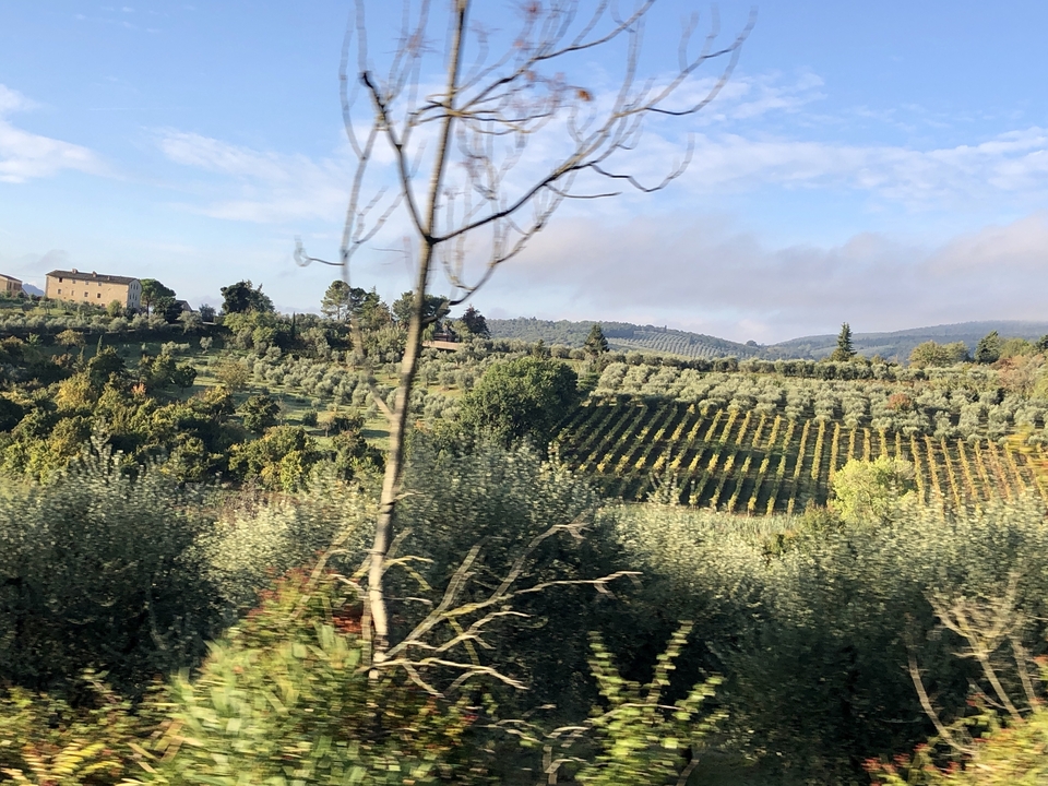 Scenic view of vineyards and rolling hills.