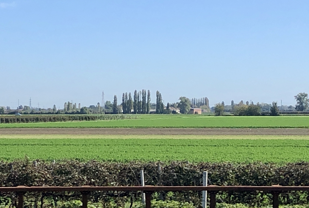 Wide view of open fields with trees and distant houses.