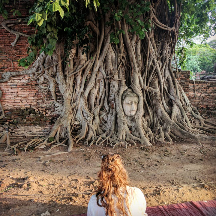 Buddha head entwined in tree roots at Ayutthaya.
