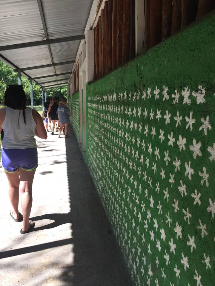 Decorative wall with a pattern of small white crosses.