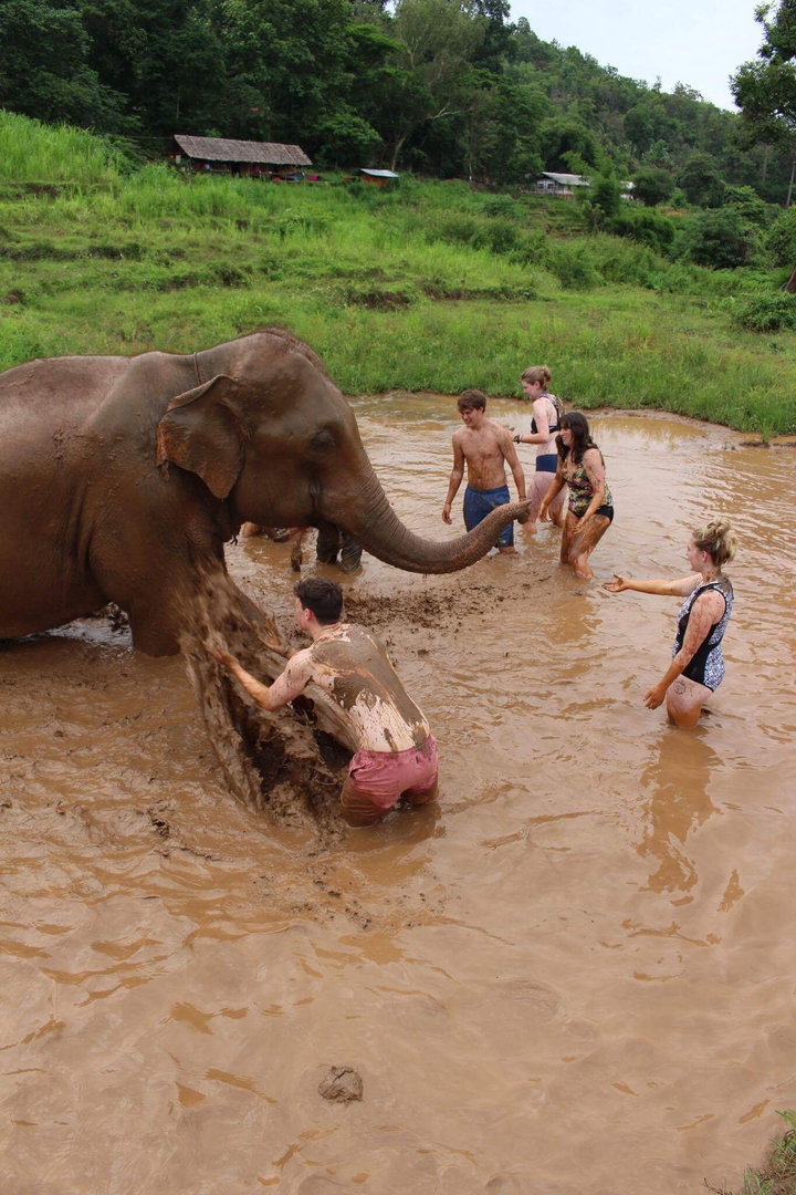 Des personnes jouent avec un éléphant dans de l'eau boueuse.