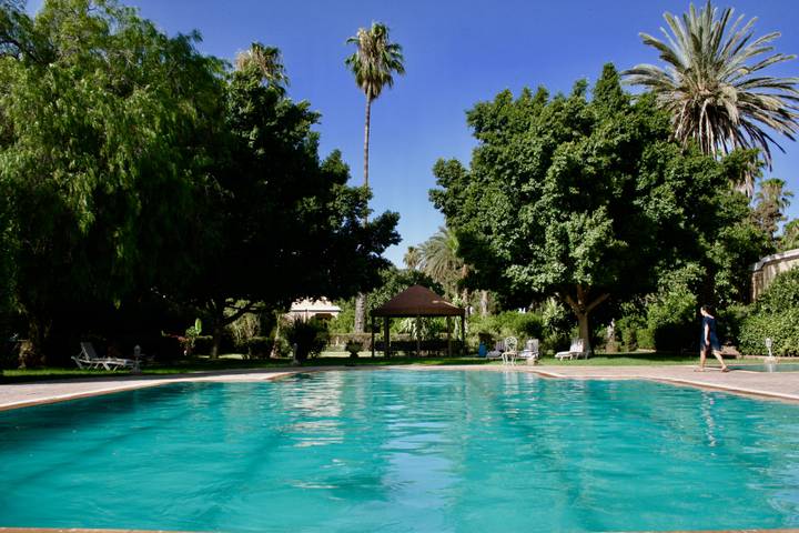 Swimming pool surrounded by lush gardens.