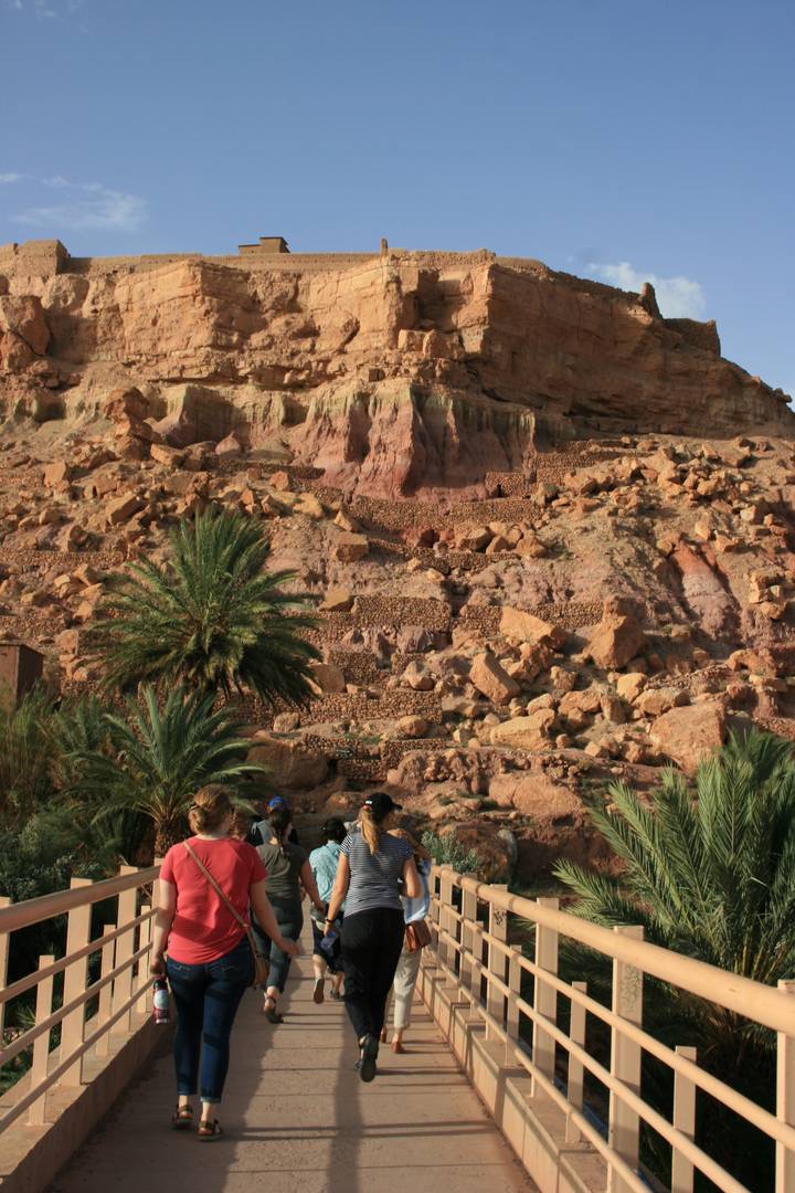 Terraced rock formations with palm trees in the foreground.