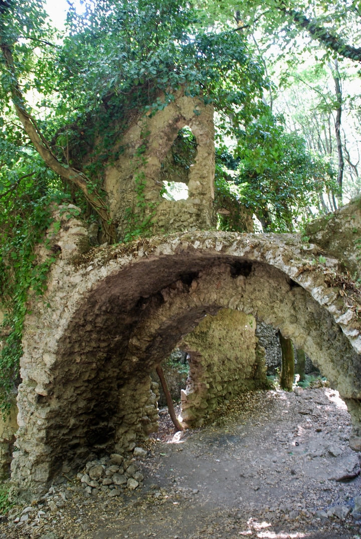 Une vieille structure en pierre entourée d'arbres.