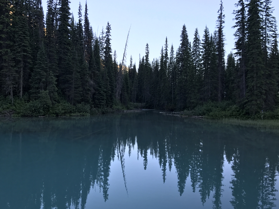 A tranquil river surrounded by dense forest.