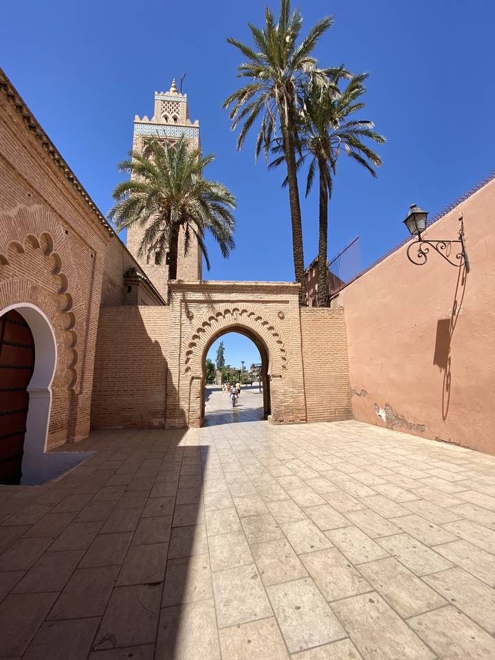 Archway with palm trees in a sunny courtyard.
