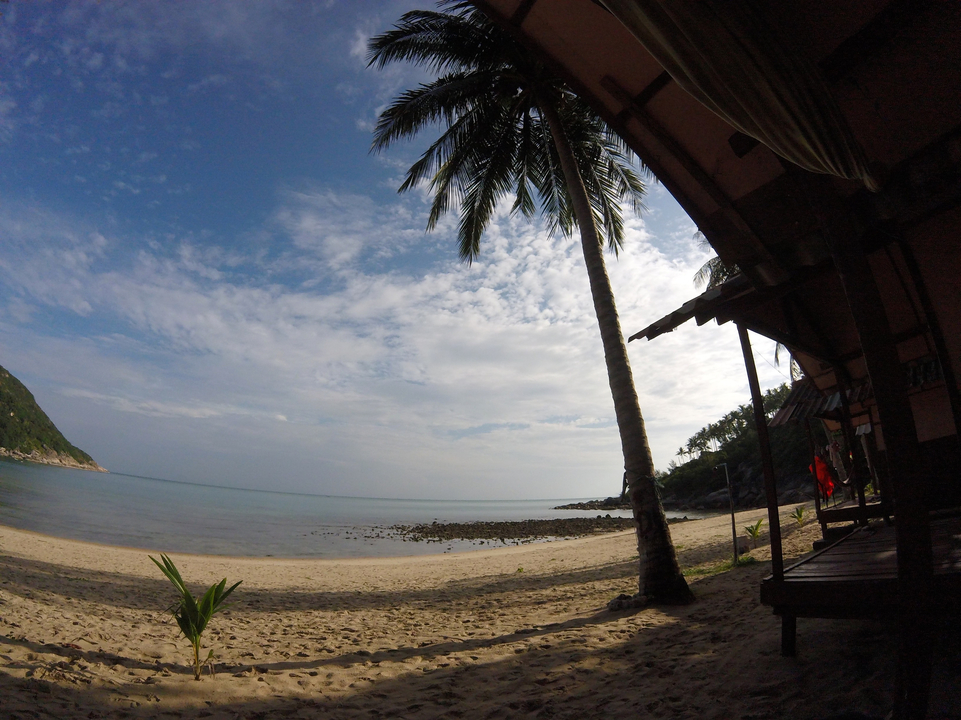 Sandy beach with palm trees and clear sky.