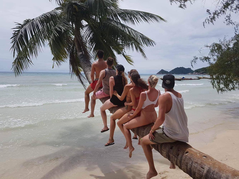 Group of people sitting on a palm tree on the beach.