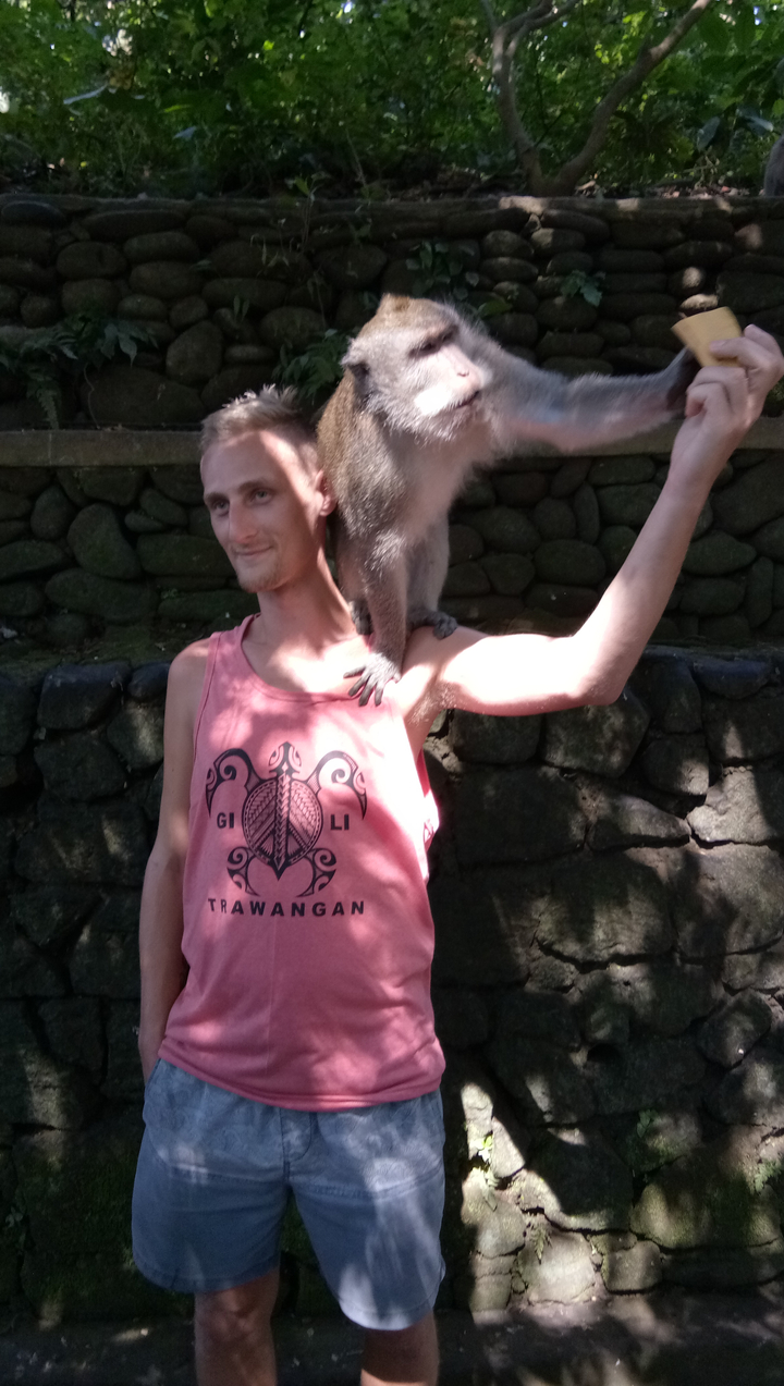 Person with a monkey on their shoulder standing in front of a stone wall.