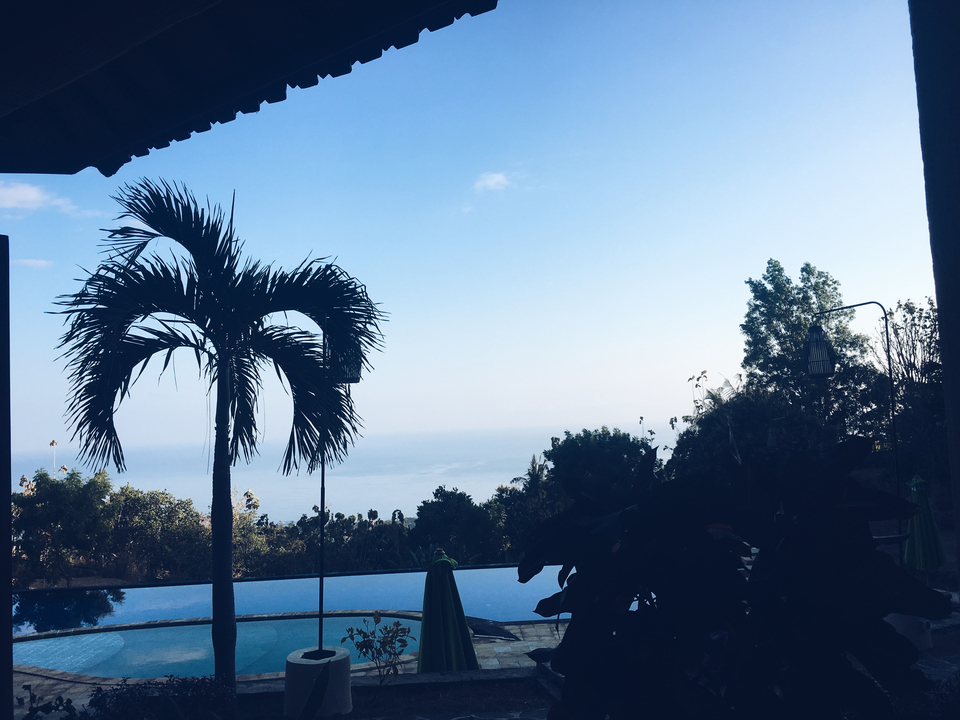 View of the sea with palm trees at sunrise.