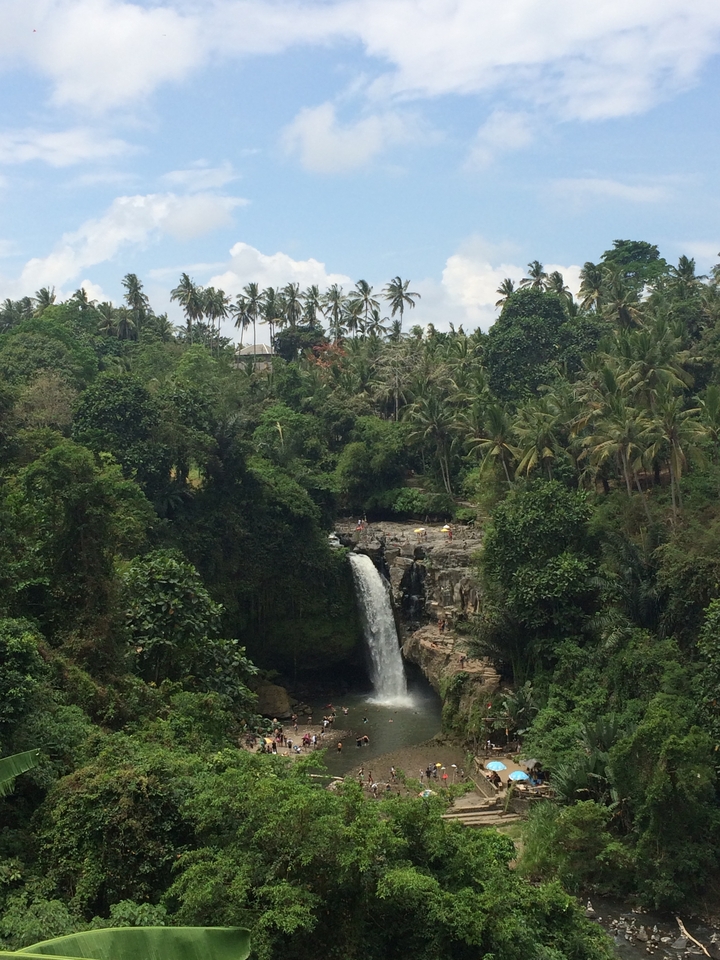 Tall jungle waterfall cascading into a rocky pool surrounded by dense palm forest.