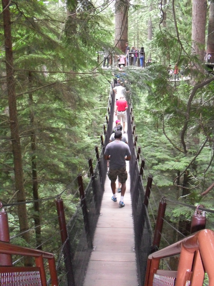 Personnes marchant sur un pont suspendu dans une forêt.