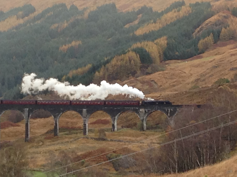 Steam train crossing a high viaduct in a green valley.