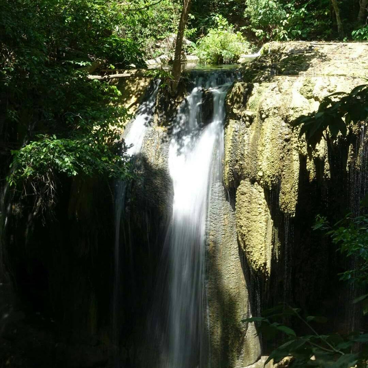 Waterfall in a shaded forest area.
